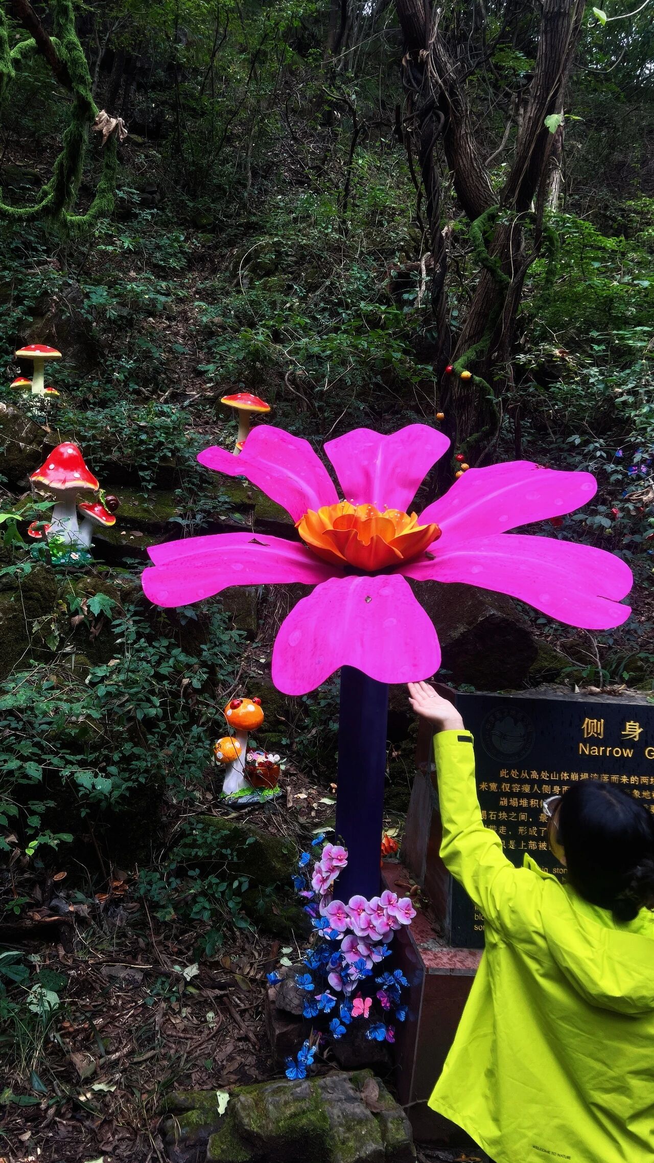 新乡南太行深秋揽胜地图全公开！闯入五彩童话世界，这6条线路美到封神！