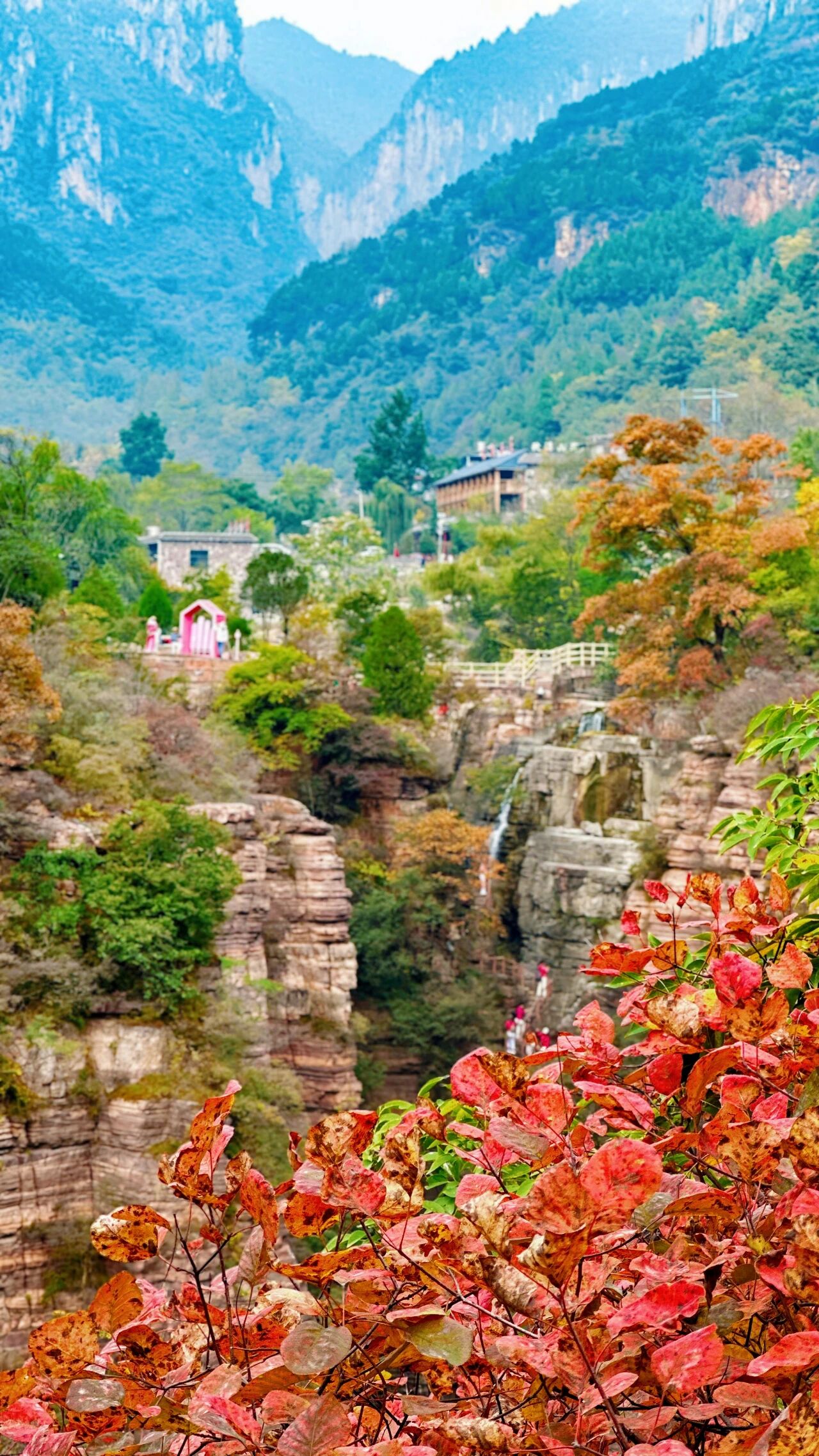 新乡南太行深秋揽胜地图全公开！闯入五彩童话世界，这6条线路美到封神！