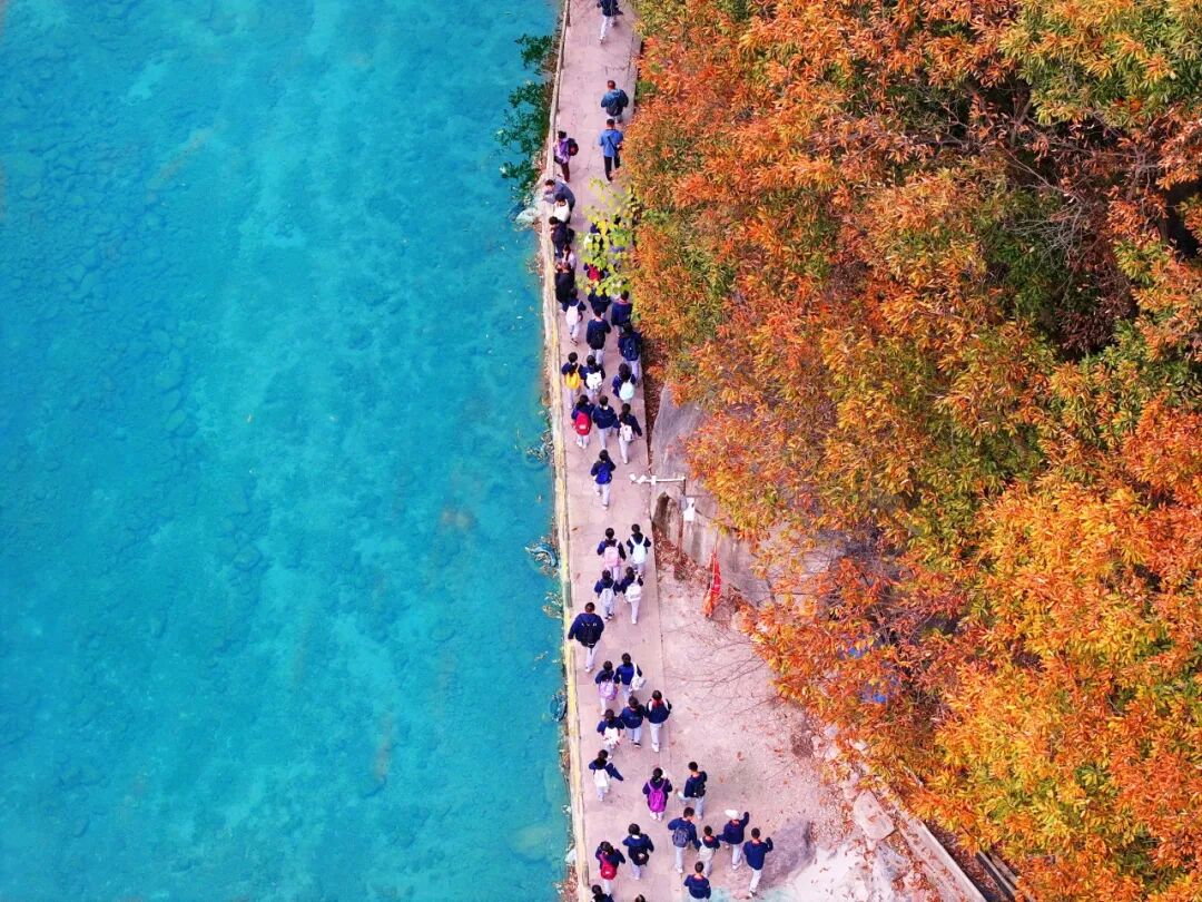 今日霜降|新乡南太行秋日限定优惠全攻略，赶紧码住！