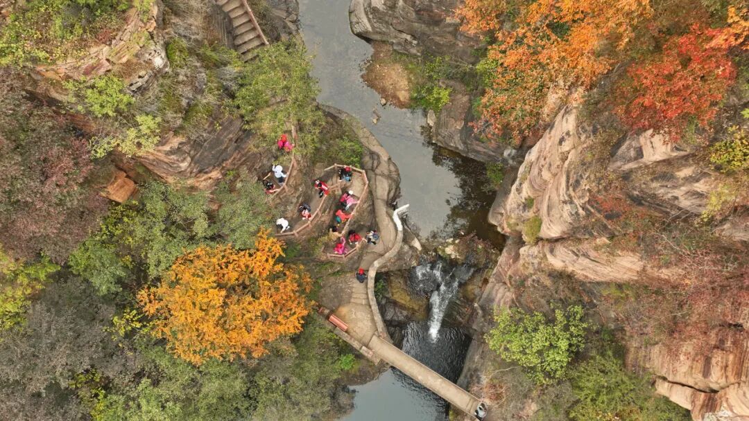 今日霜降|新乡南太行秋日限定优惠全攻略，赶紧码住！