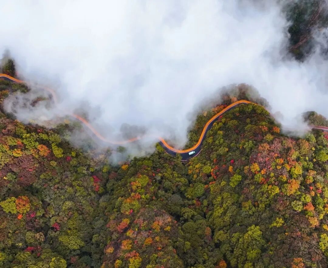 偷偷收藏的新乡南太行赏秋指南藏不住啦！还有最新的惊喜福利哦~