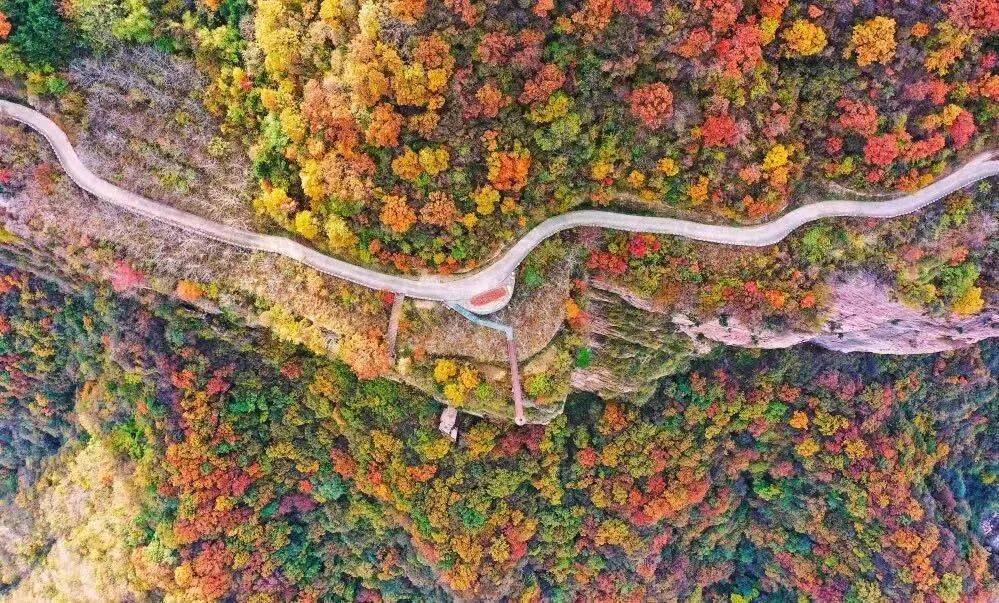 秋染新乡南太行！错过再等一年的秋日盛景，这趟打卡值爆了