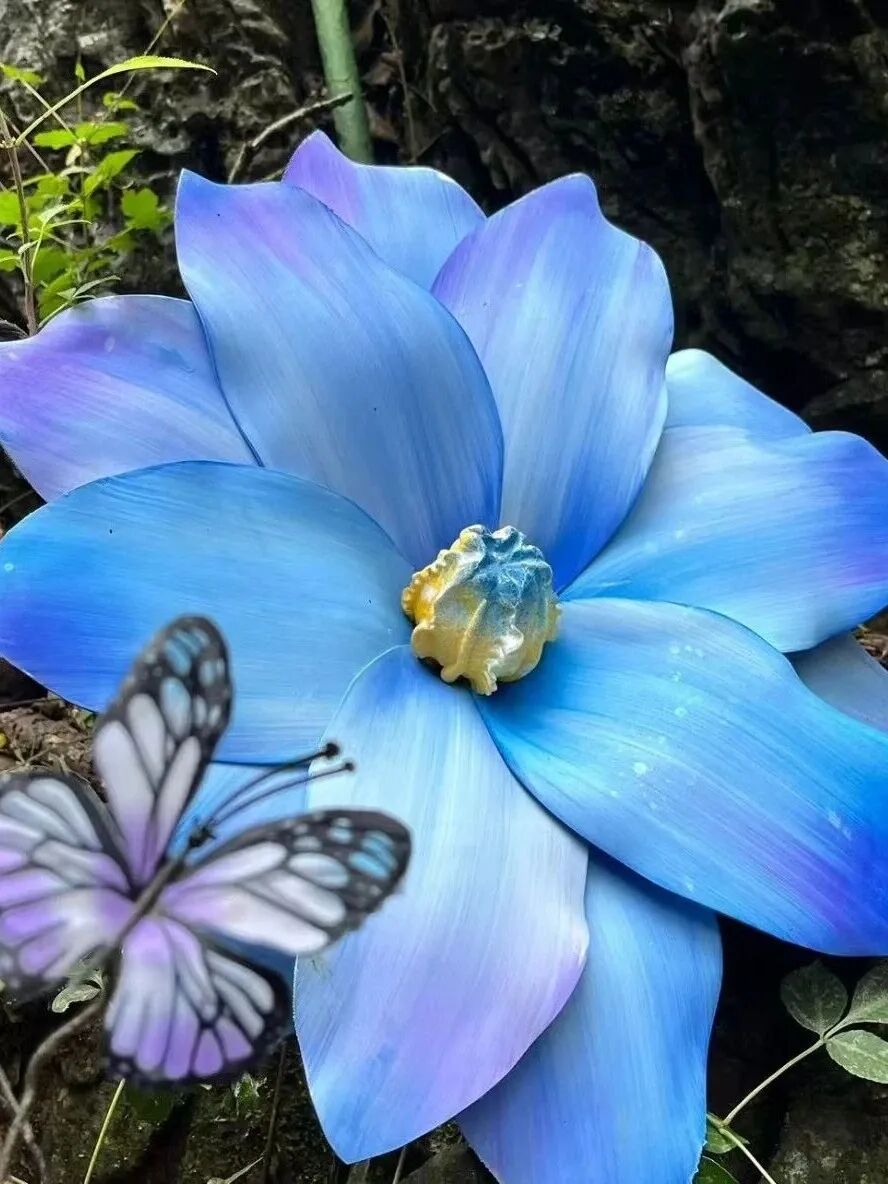 偷偷收藏的新乡南太行赏秋指南藏不住啦！还有最新的惊喜福利哦~