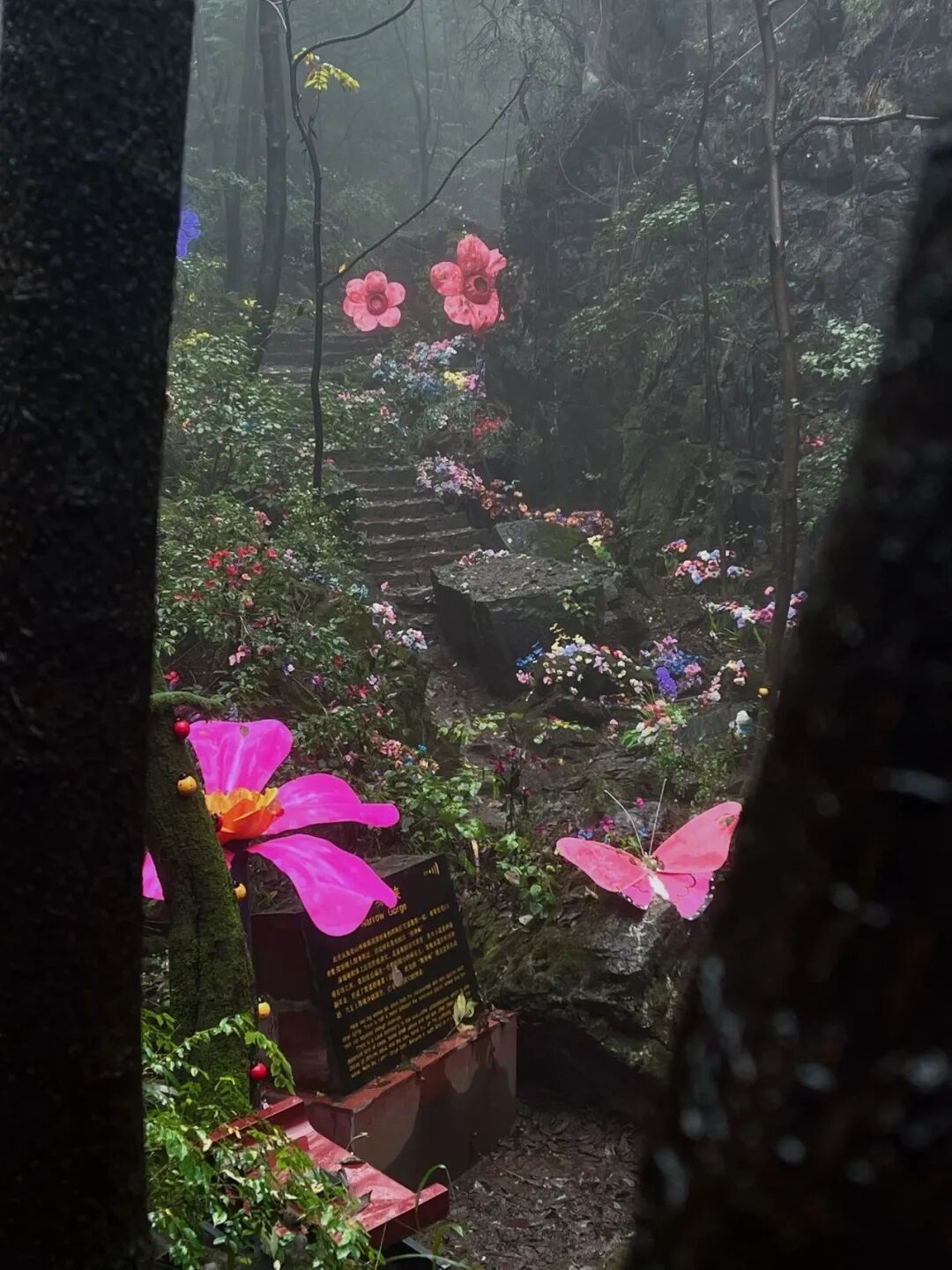 偷偷收藏的新乡南太行赏秋指南藏不住啦！还有最新的惊喜福利哦~