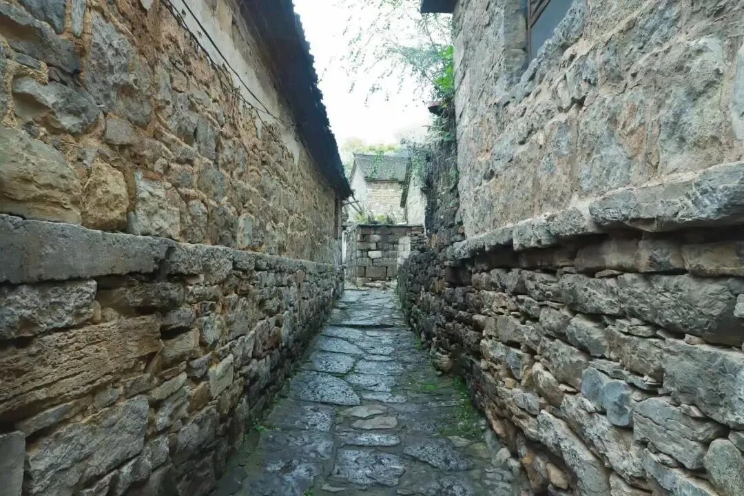 偷偷收藏的新乡南太行赏秋指南藏不住啦！还有最新的惊喜福利哦~