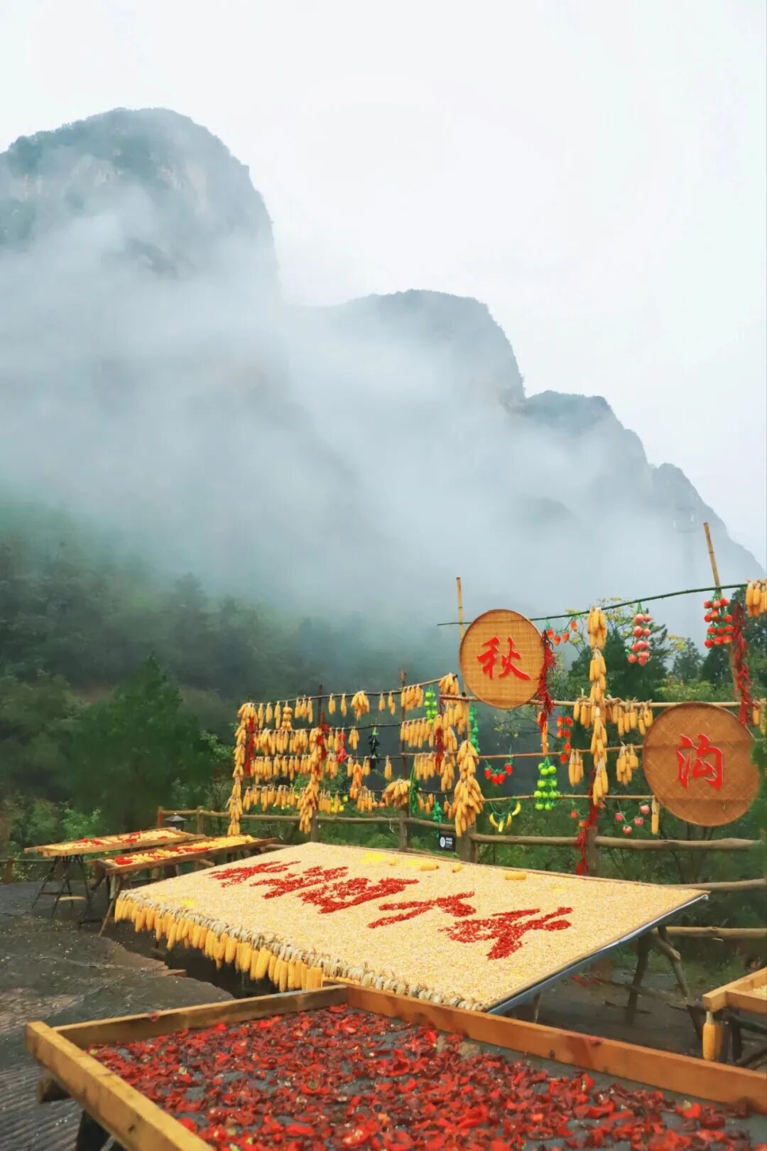 偷偷收藏的新乡南太行赏秋指南藏不住啦！还有最新的惊喜福利哦~