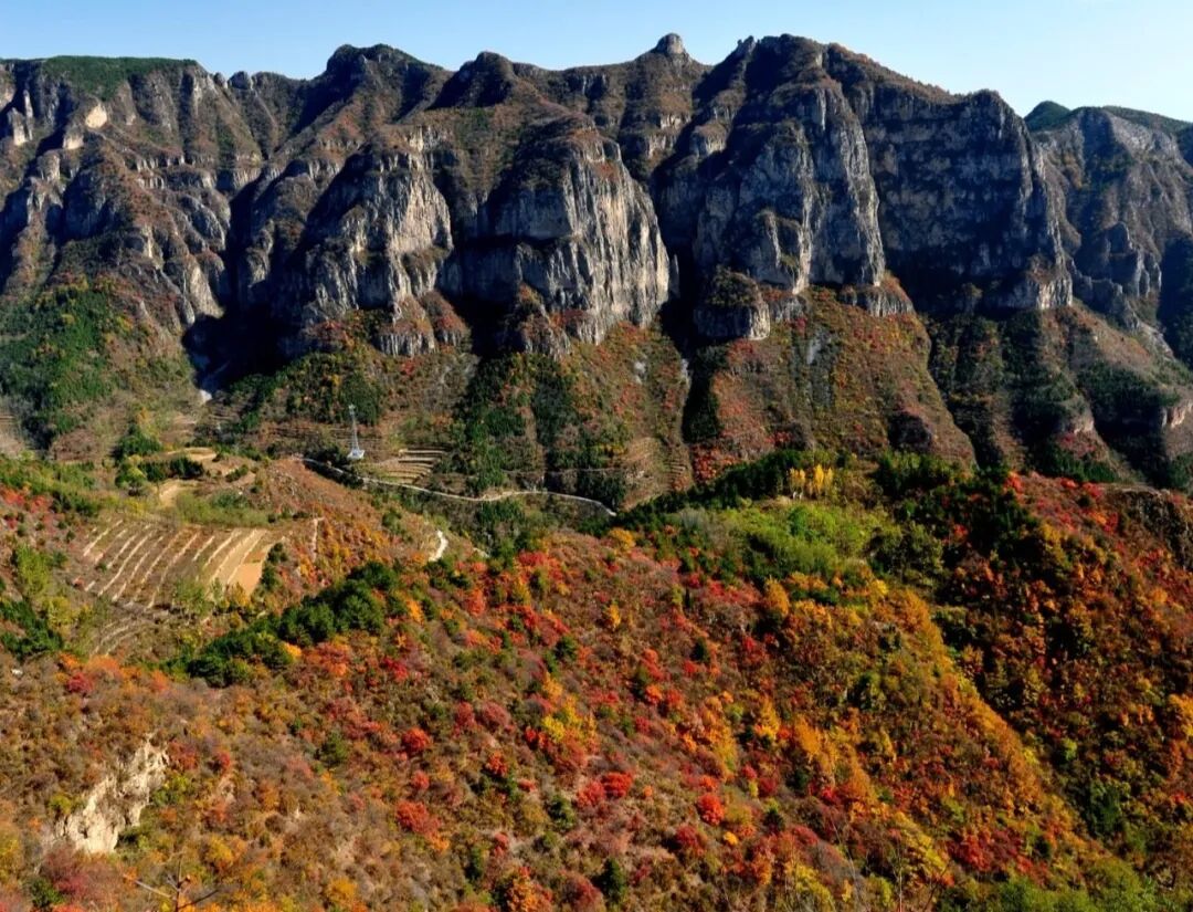 秋赴太行,必看这抹红!新乡南太行红叶已进入最佳观赏期 秋赴太行,必看这抹红!新乡南太行红叶已进入最佳观赏期