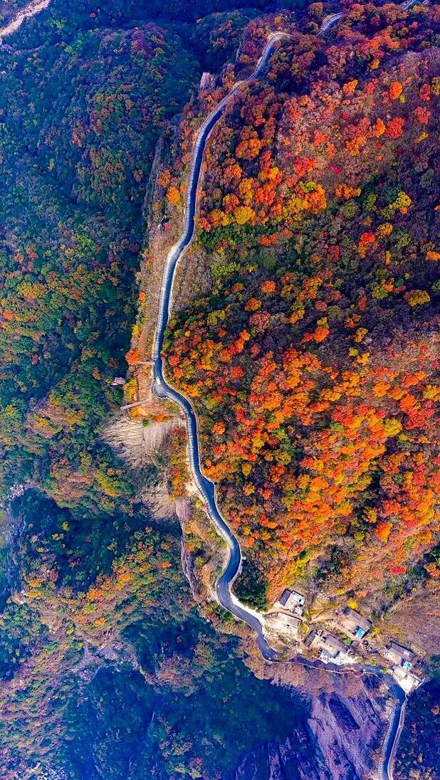 收藏这篇！立冬前最后一周，新乡南太行“秋色大片”高燃续费！（附徒步大会剧透）