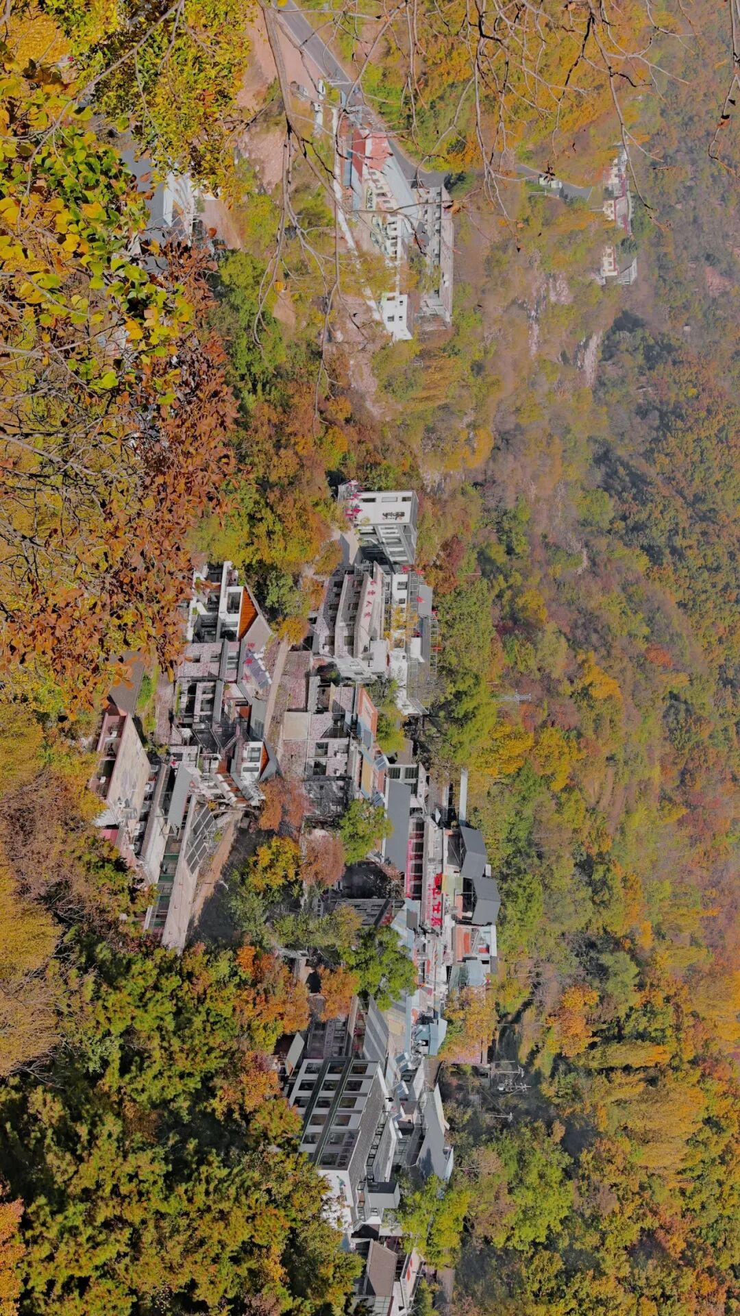 收藏这篇！立冬前最后一周，新乡南太行“秋色大片”高燃续费！（附徒步大会剧透）