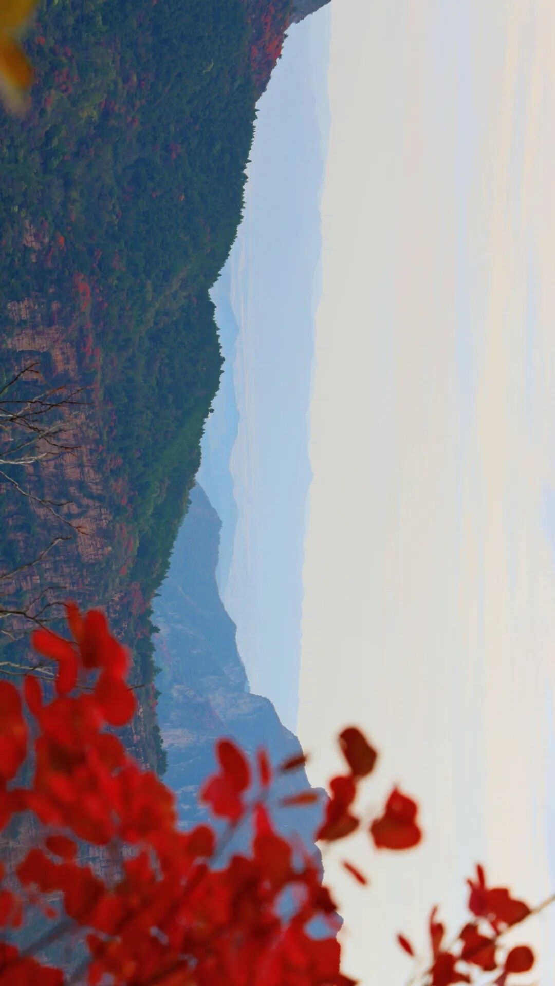 收藏这篇！立冬前最后一周，新乡南太行“秋色大片”高燃续费！（附徒步大会剧透）