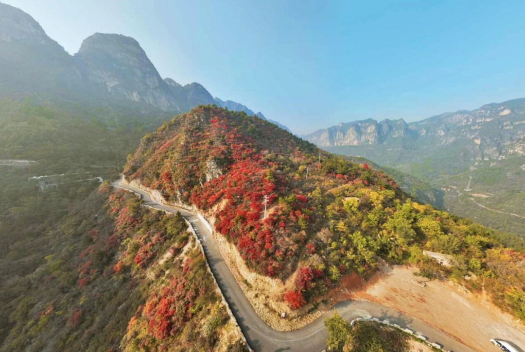 立冬至,秋未歇|新乡南太行雨后云海漫卷,红叶铺道,明日徒步大会即刻出发! 立冬至,秋未歇|新乡南太行雨后云海漫卷,红叶铺道,明日徒步大会即刻出发!