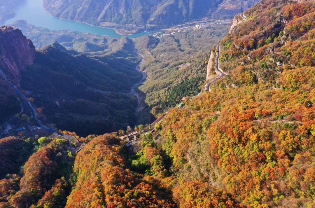 立冬至,秋未歇|新乡南太行雨后云海漫卷,红叶铺道,明日徒步大会即刻出发! 立冬至,秋未歇|新乡南太行雨后云海漫卷,红叶铺道,明日徒步大会即刻出发!