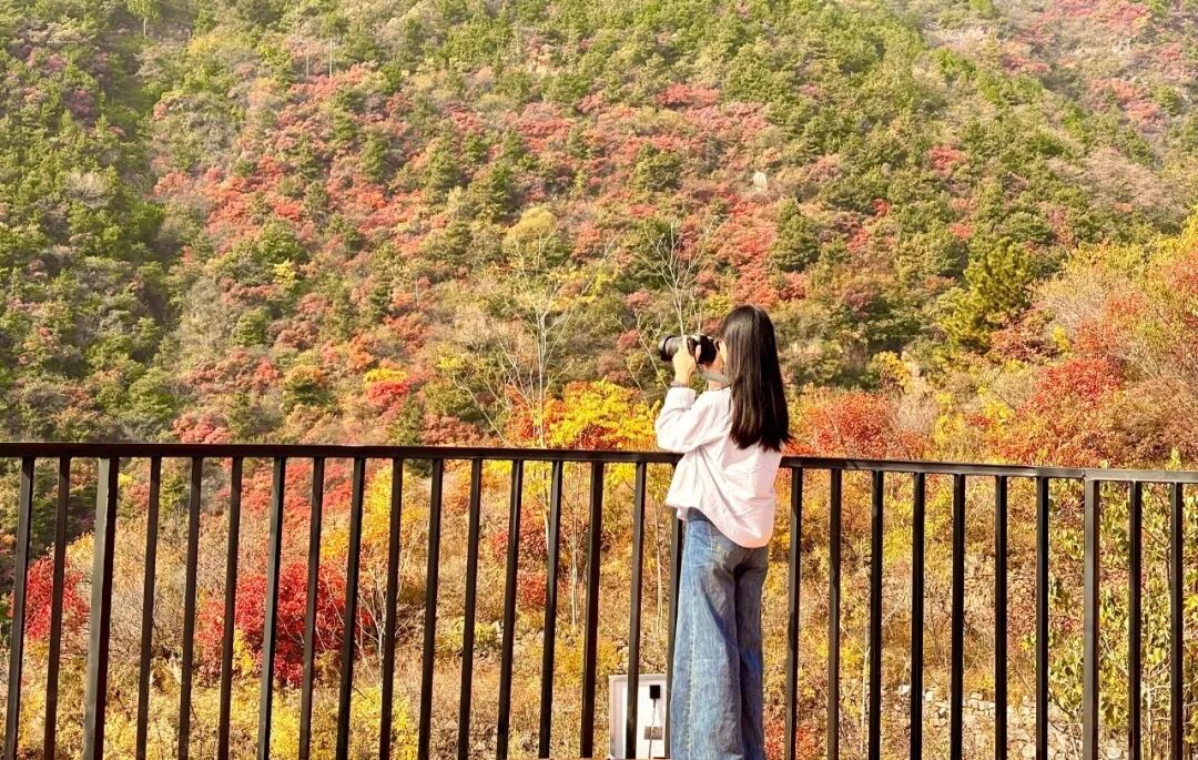 新乡南太行:一键穿越!带你解锁太行盛景 新乡南太行:一键穿越!带你解锁太行盛景