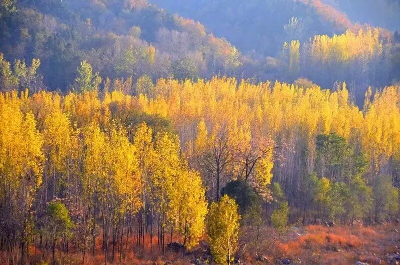 新乡南太行:一键穿越!带你解锁太行盛景 新乡南太行:一键穿越!带你解锁太行盛景