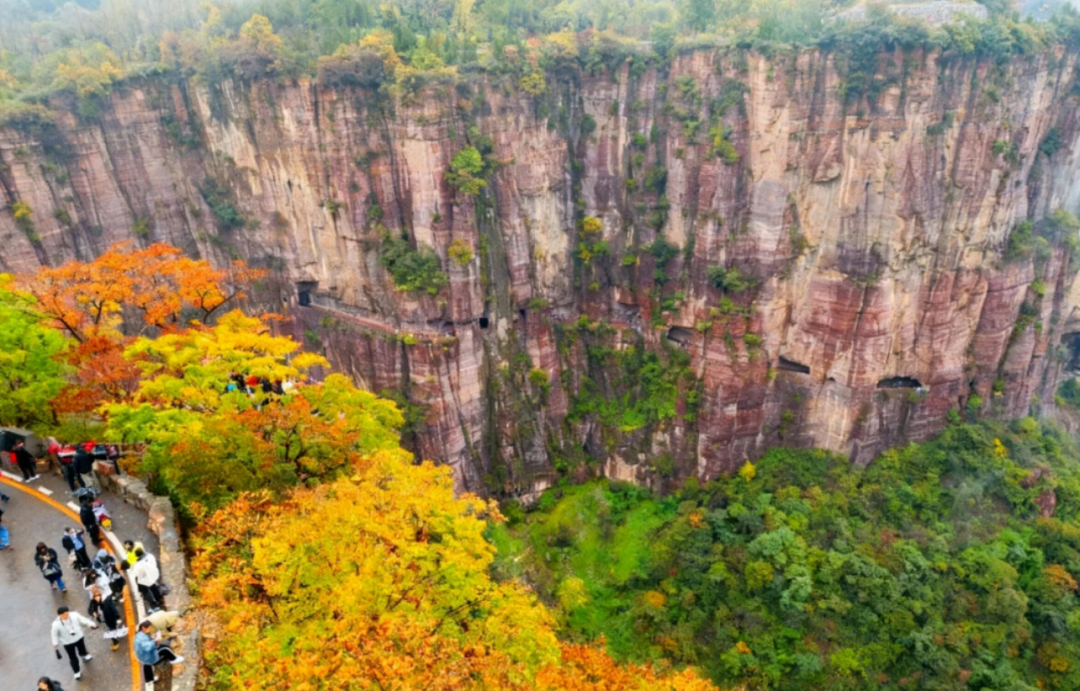 万仙山研学行:把课堂搬进山水间,定格孩子们的探索时刻 万仙山研学行:把课堂搬进山水间,定格孩子们的探索时刻