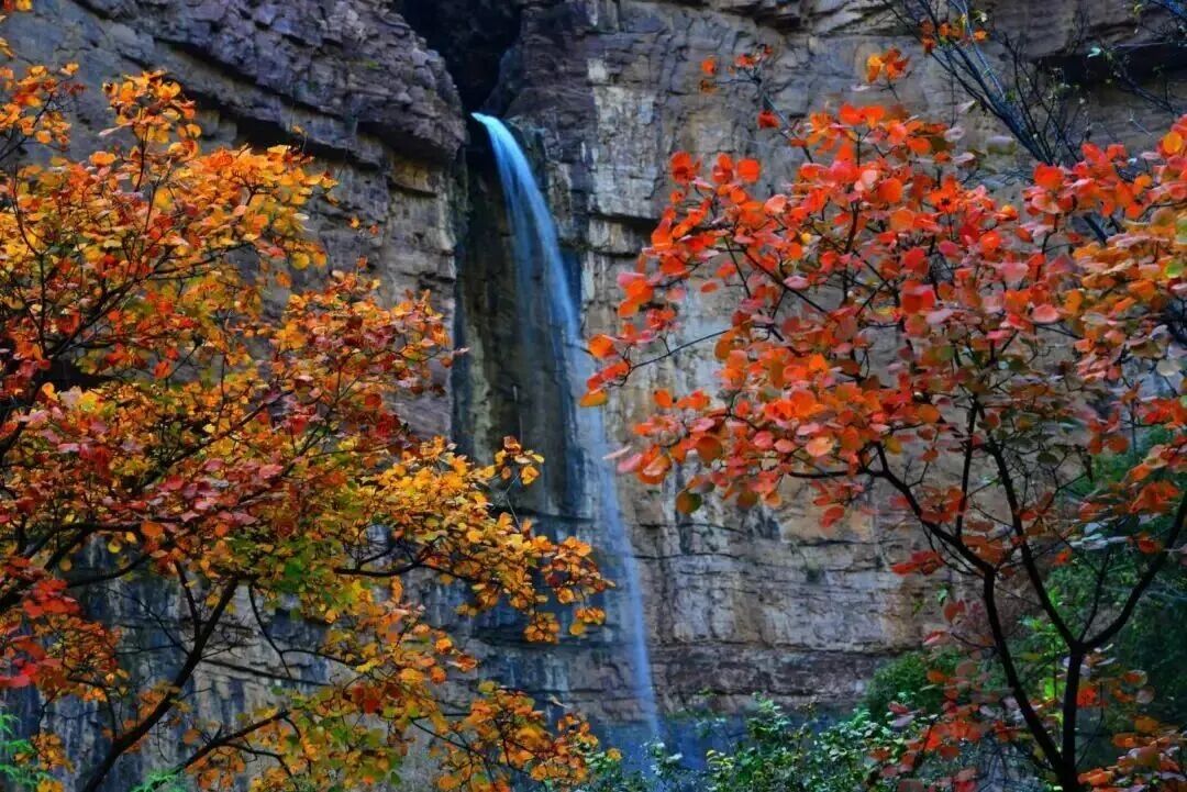 【权威发布】新乡南太行旅游有限公司获评全国群众体育先进单位！