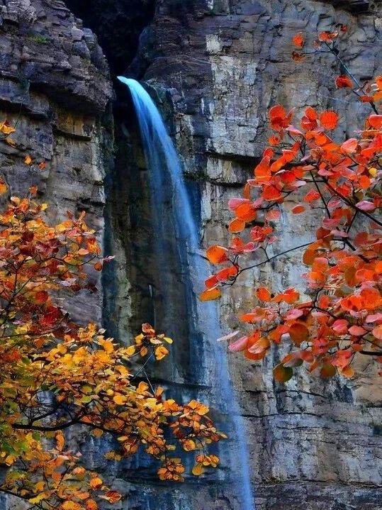 反卷行动！躲进初冬的南太行，给身心“充个电”