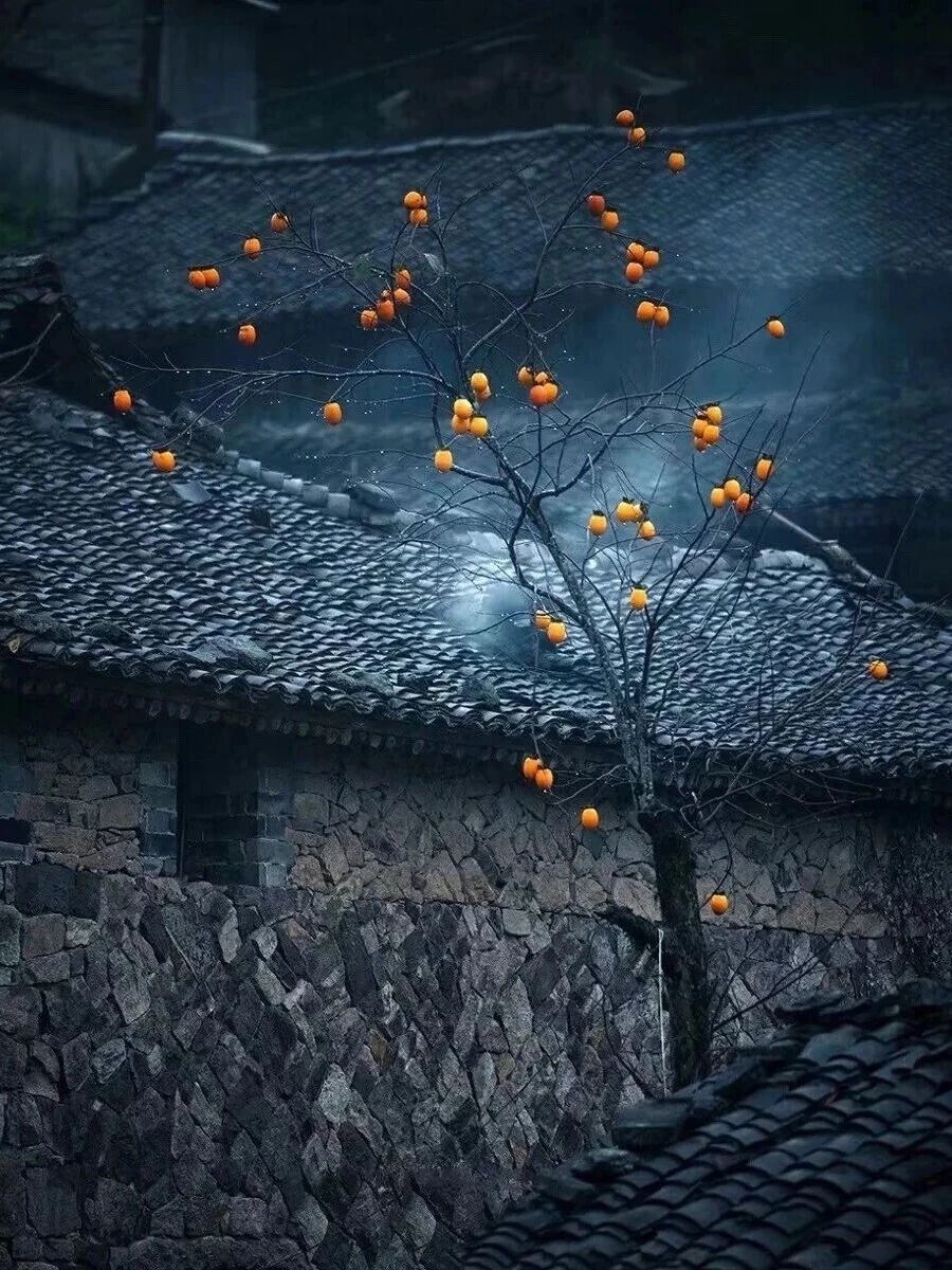 反卷行动！躲进初冬的南太行，给身心“充个电”