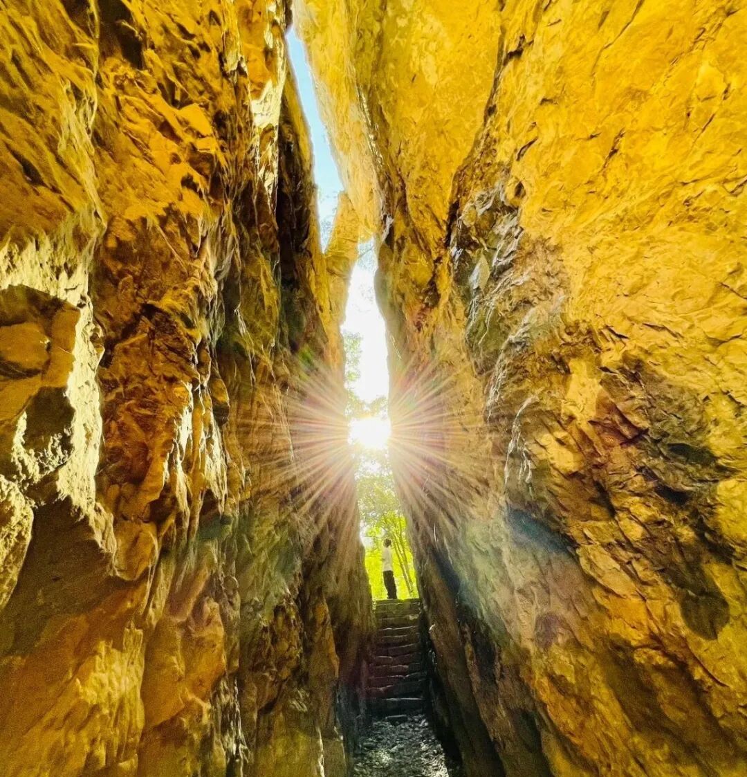 阳光正好，向山而行！这份新乡南太行晴日漫游指南请收好