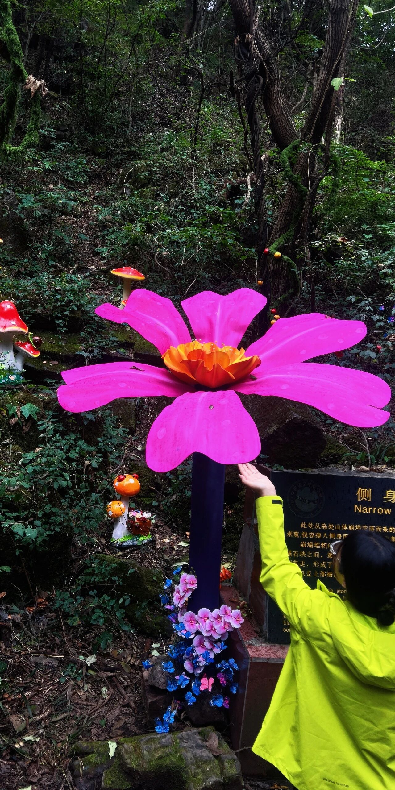 《2026，马上太行！4.0版人生正在加载》