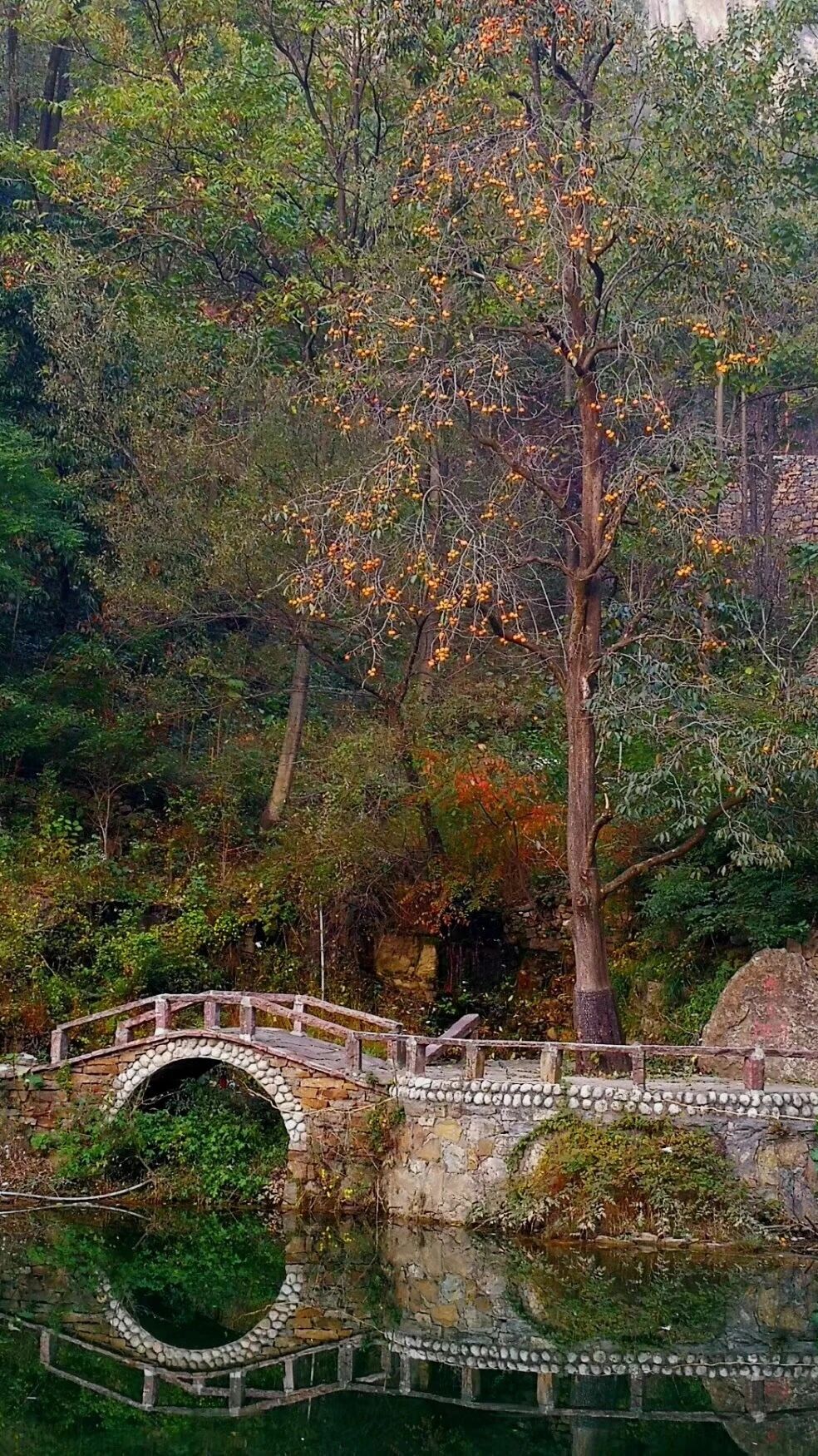 《2026，马上太行！4.0版人生正在加载》