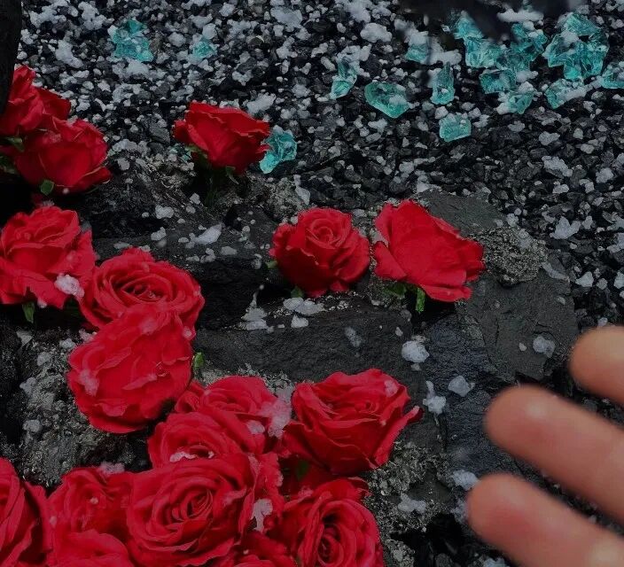 今冬初雪至，太行仙境美 | 新乡南太行迎来冬日的第一场雪