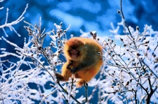 新乡南太行|冬日美学图鉴