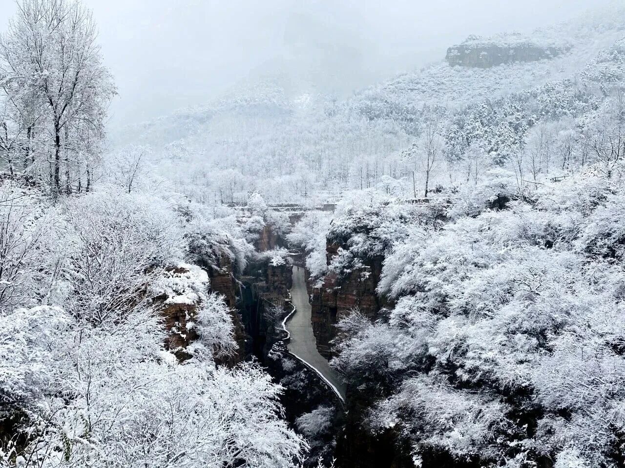 新乡南太行之“2025岁末叛逆计划”! 新乡南太行之“2025岁末叛逆计划”!