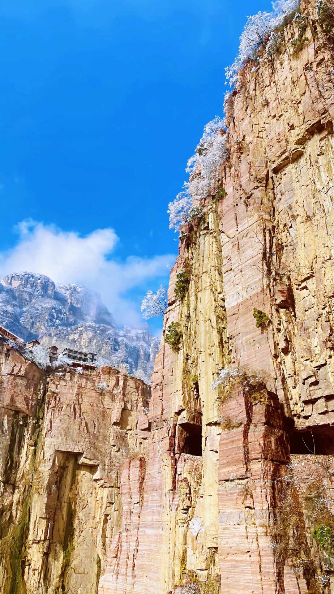 速来打卡！新乡南太行冰雪狂欢正当时