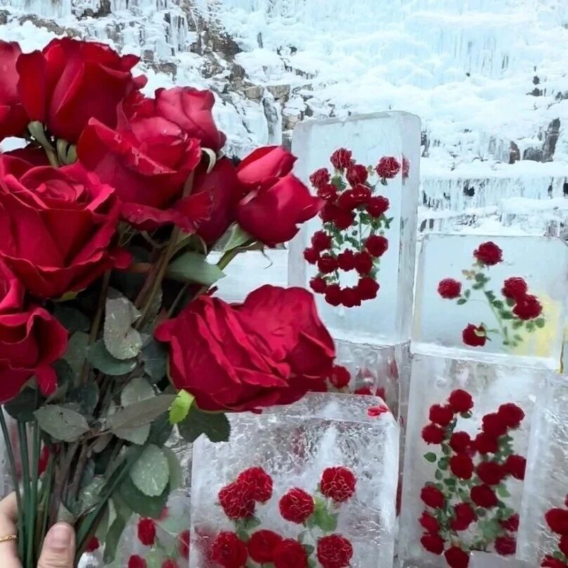 八里沟冰封玫瑰，冬日最热烈的浪漫！