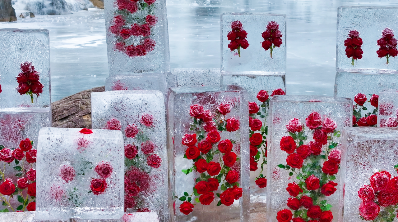 八里沟冰封玫瑰，冬日最热烈的浪漫！