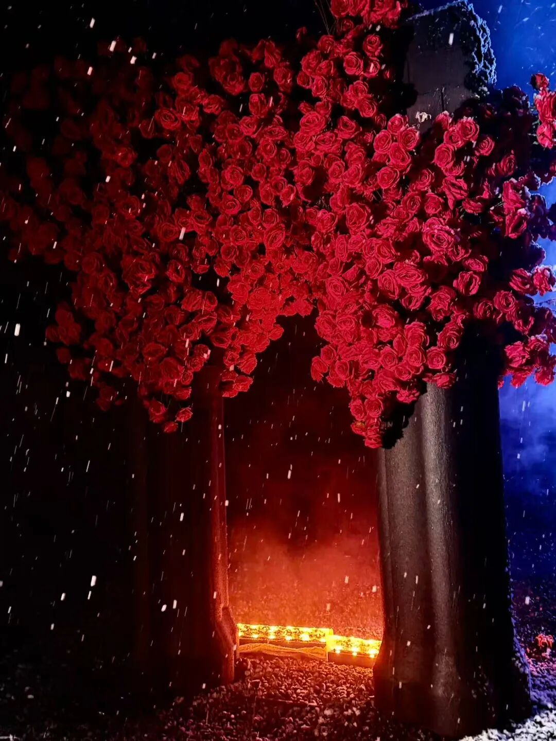 优惠已到位 “幻梦”已铺好,关山只等你踏雪而来 优惠已到位 “幻梦”已铺好,关山只等你踏雪而来