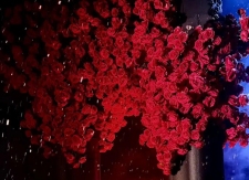 优惠已到位 “幻梦”已铺好，关山只等你踏雪而来