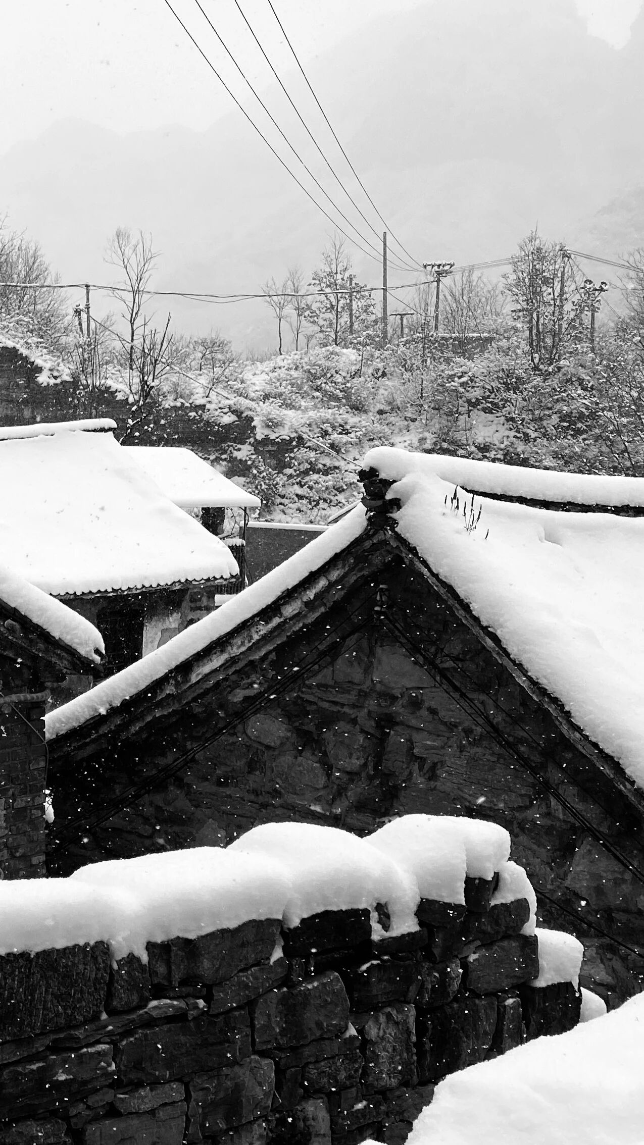 暴雪！河南变身冰雪王国，南太行太美辣