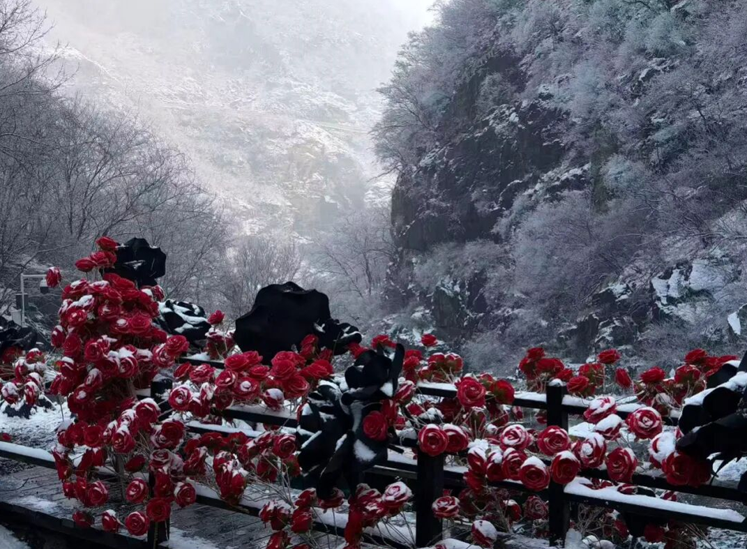 周末出游选哪里？新乡南太行冰雪仙境，等你来撒欢~