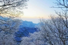 新乡南太行｜这里藏着“千树万树梨花开”的冬日仙境！