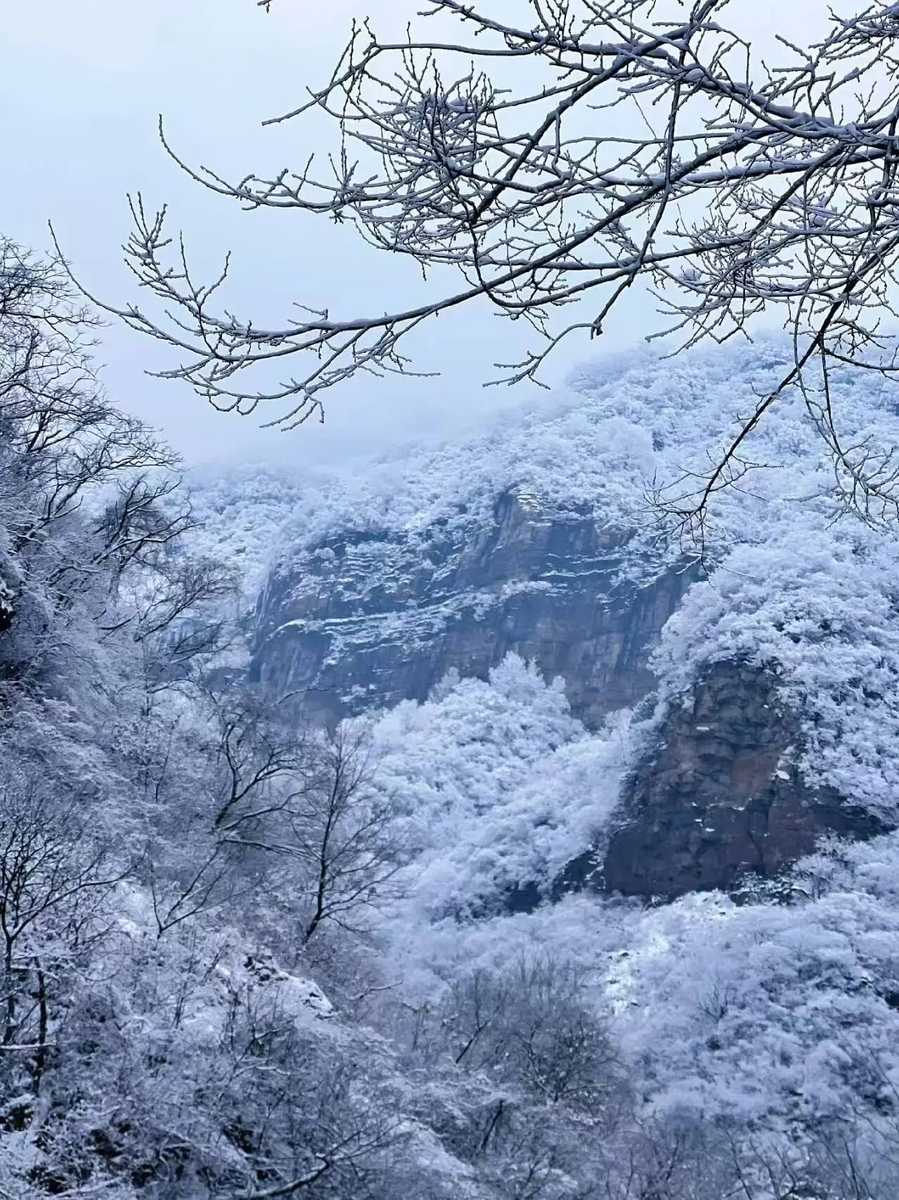 新乡南太行｜这里藏着“千树万树梨花开”的冬日仙境！