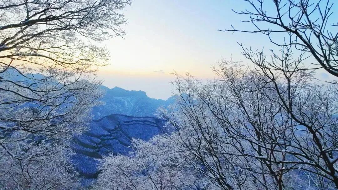 新乡南太行｜这里藏着“千树万树梨花开”的冬日仙境！