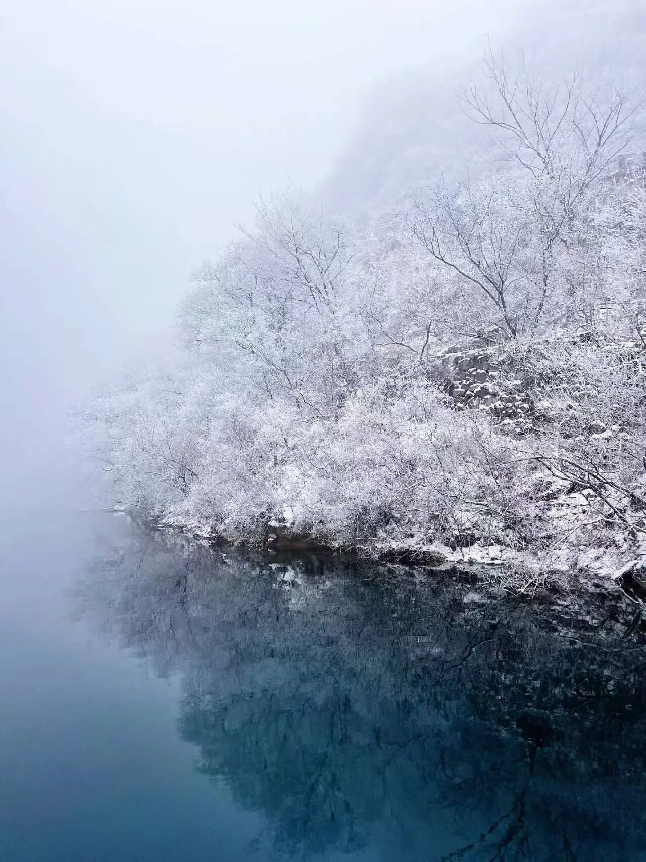 新乡南太行｜这里藏着“千树万树梨花开”的冬日仙境！