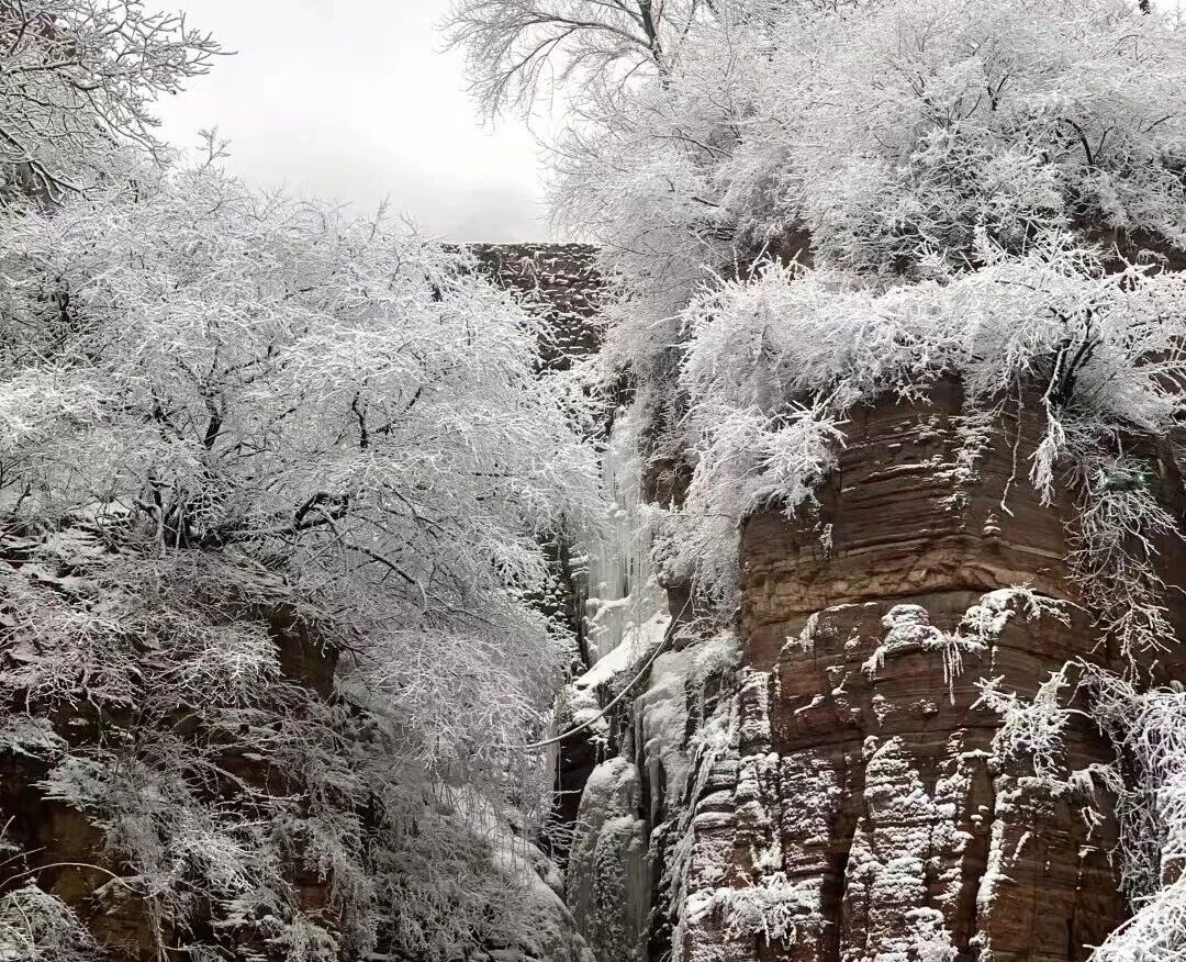 新乡南太行｜这里藏着“千树万树梨花开”的冬日仙境！