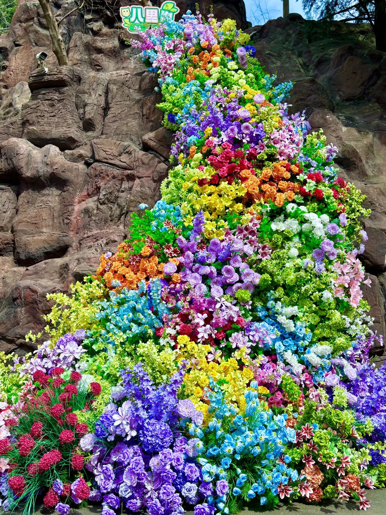 三八女神节专属福利来袭！快来新乡南太行赴一场春日之约吧