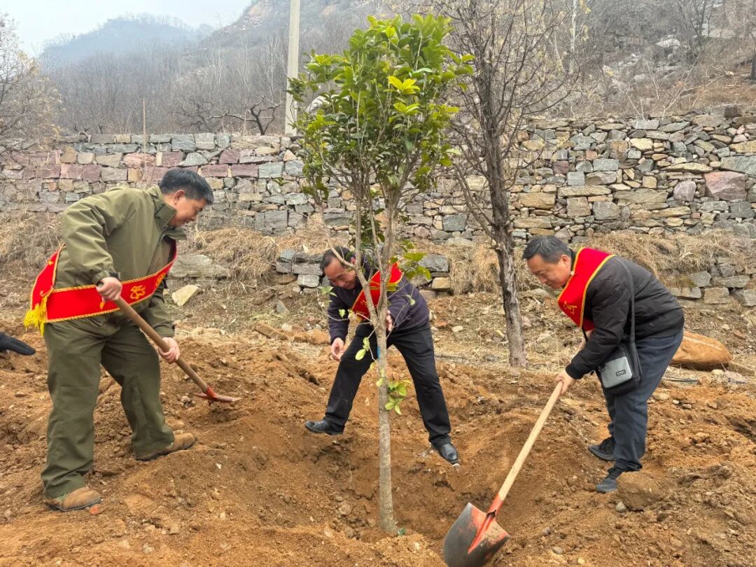 种好树·做好人——温暖新乡·好人林”植树活动在新乡南太行八里沟景区顺利举行