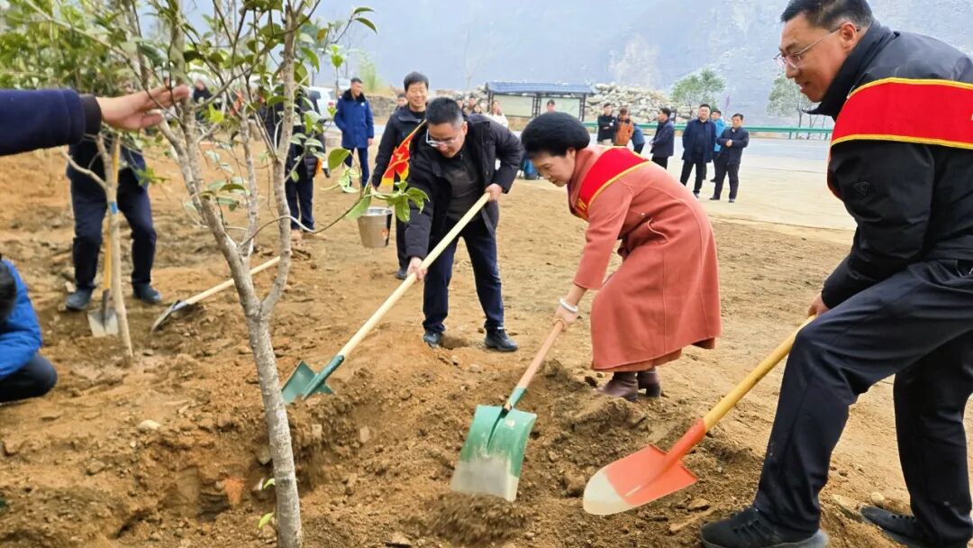 种好树·做好人——温暖新乡·好人林”植树活动在新乡南太行八里沟景区顺利举行