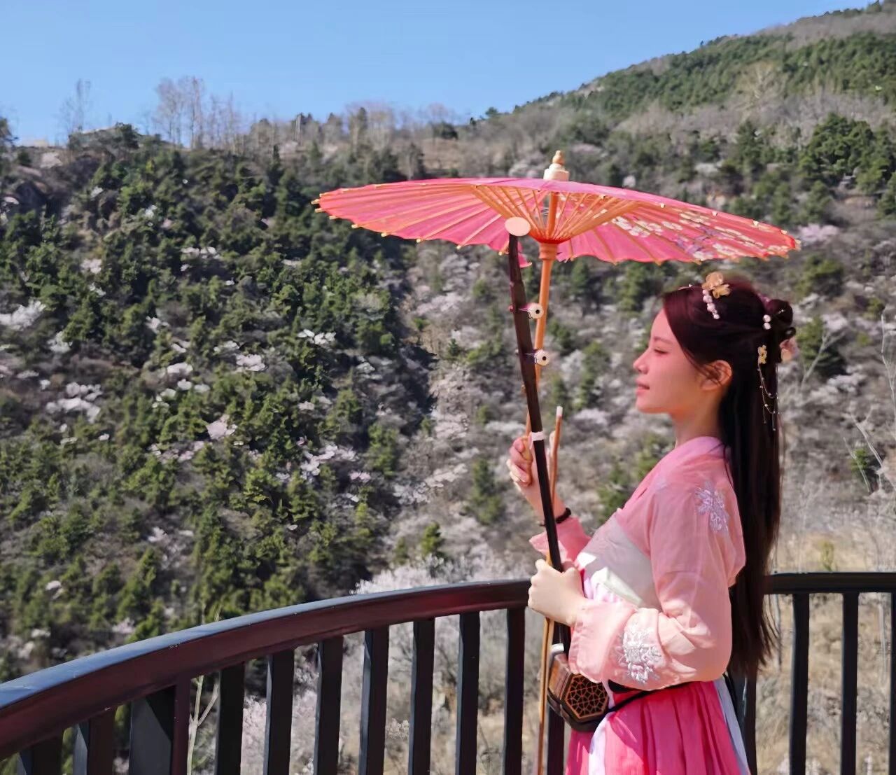 春风起,桃花开,新乡南太行秋沟桃花节即将上线! 春风起,桃花开,新乡南太行秋沟桃花节即将上线!