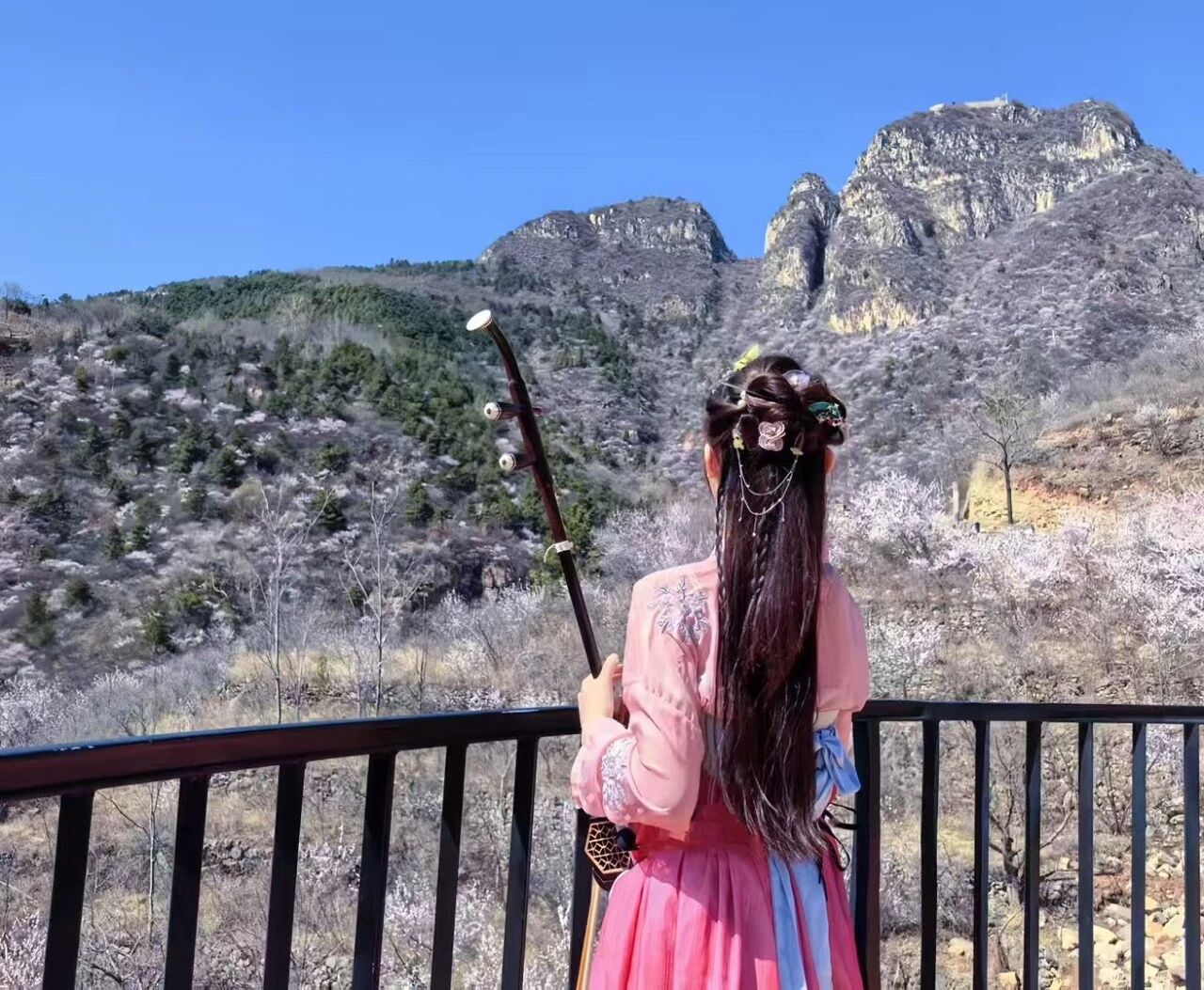 春风起,桃花开,新乡南太行秋沟桃花节即将上线! 春风起,桃花开,新乡南太行秋沟桃花节即将上线!