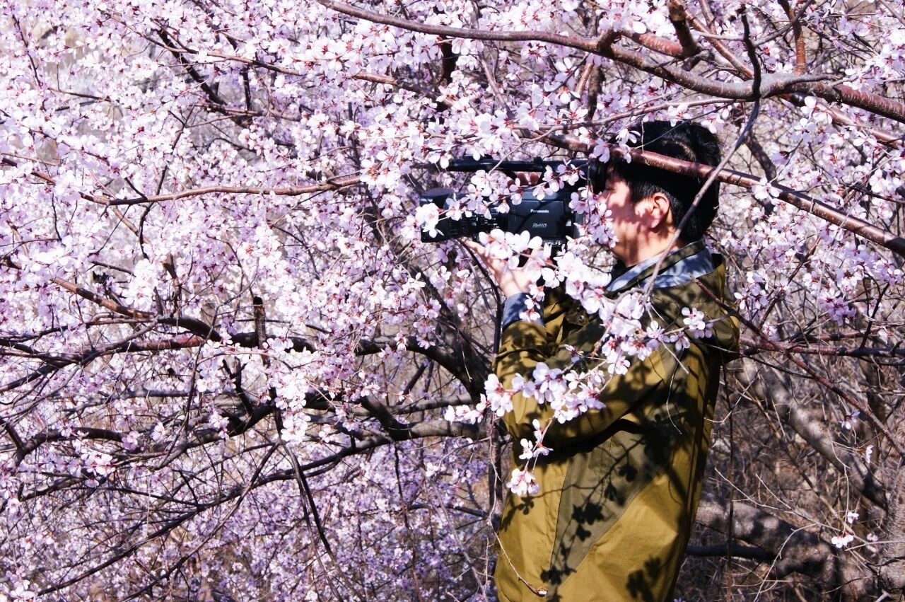 春风起,桃花开,新乡南太行秋沟桃花节即将上线! 春风起,桃花开,新乡南太行秋沟桃花节即将上线!