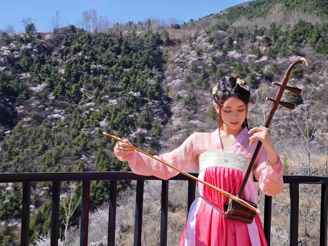 春风起,桃花开,新乡南太行秋沟桃花节即将上线! 春风起,桃花开,新乡南太行秋沟桃花节即将上线!