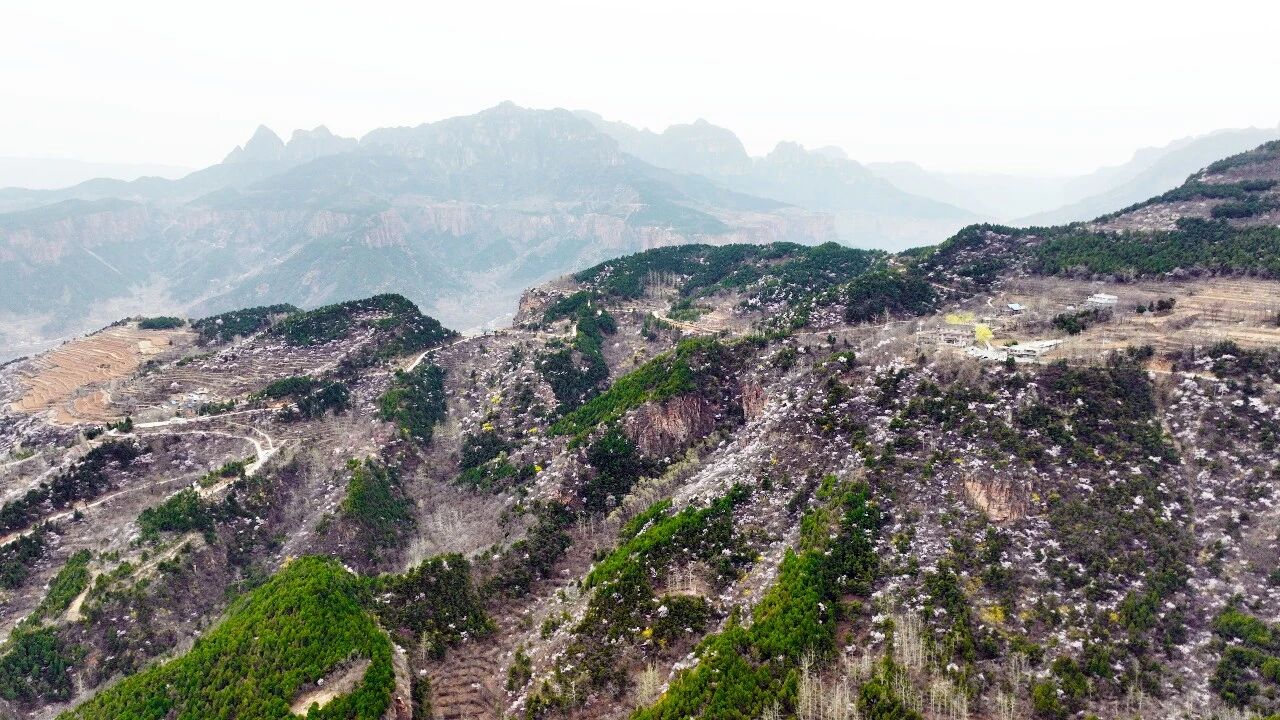 免票！半价！9.9元抢！还能看“春雪染桃花”奇景，新乡南太行这波必须冲！