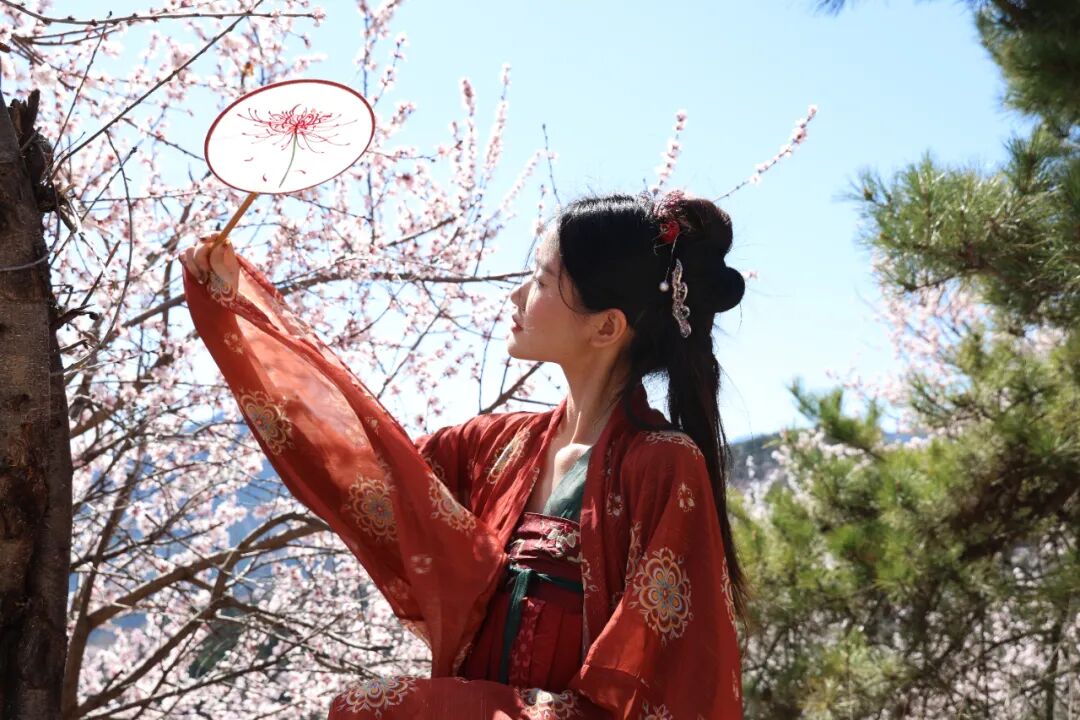 赏花看剧，新乡南太行多重福利一键解锁