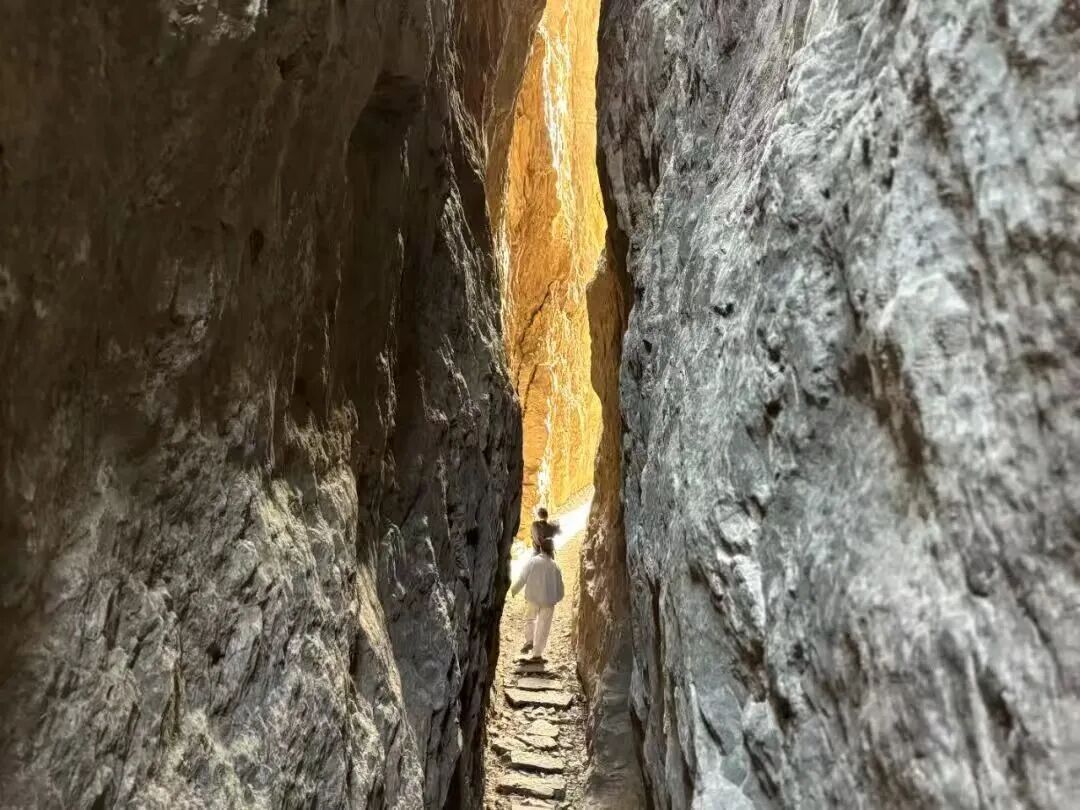 赏花看剧，新乡南太行多重福利一键解锁